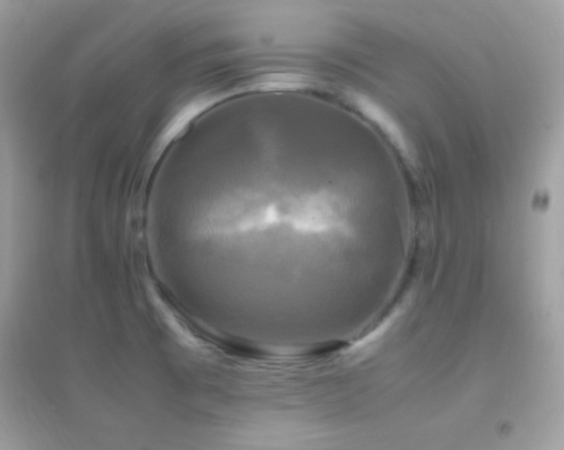 X0000095121473200712071229