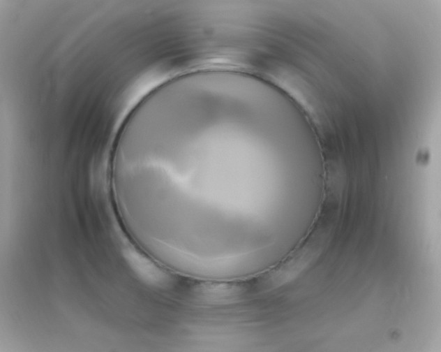 X0000095121474200712071229