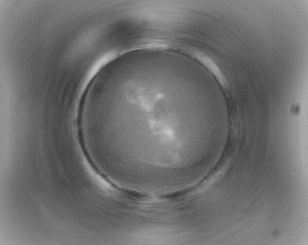 X0000095121475200712071229