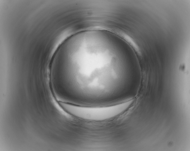 X0000095121476200712071229