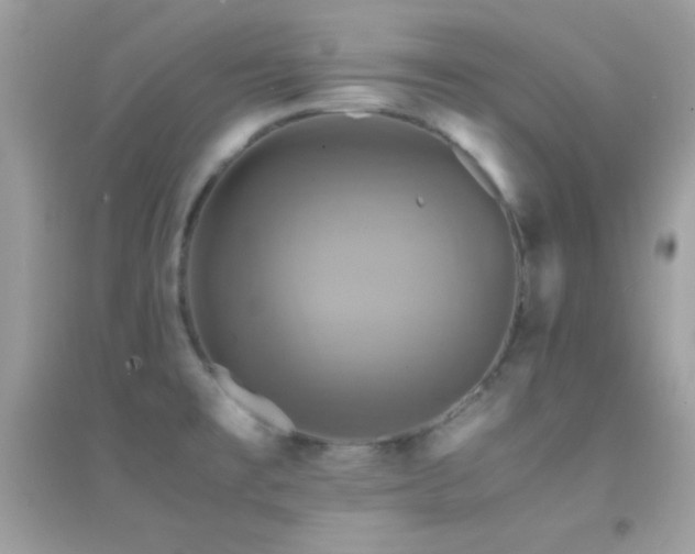 X0000095121477200712071229