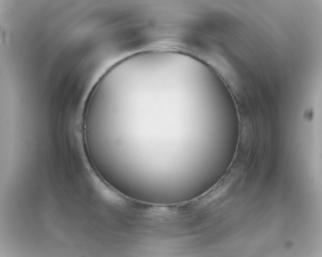 X0000095121478200712071229
