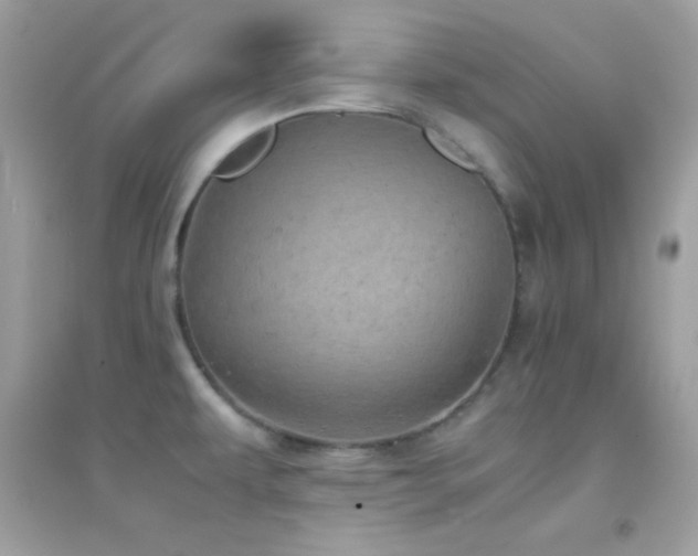 X0000095121479200712071229