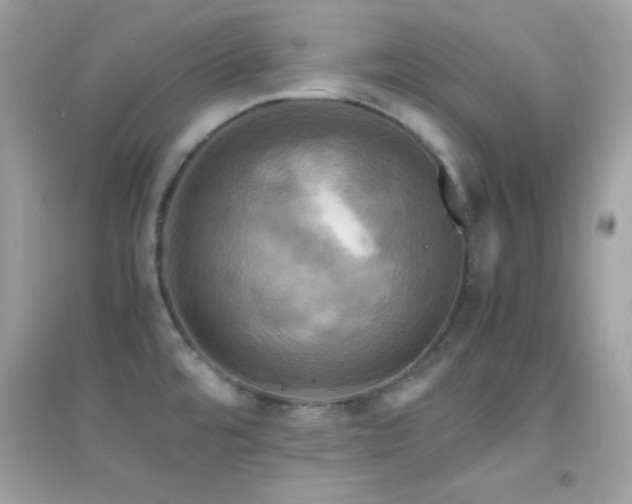 X0000095121480200712071229
