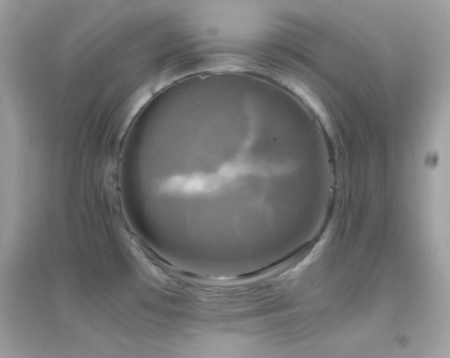 X0000095121481200712071229