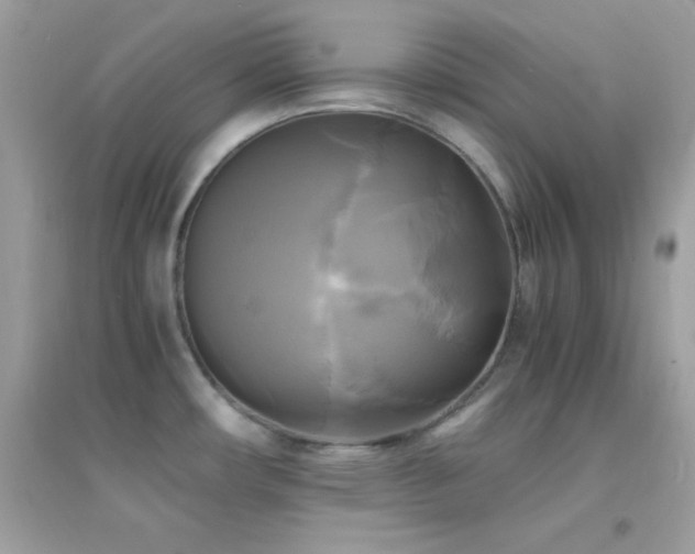 X0000095121482200712071229