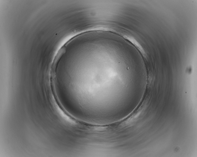 X0000095121484200712071229