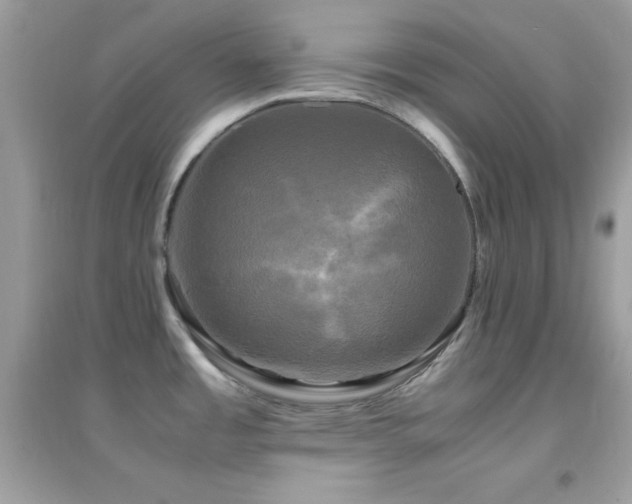 X0000095121485200712071229