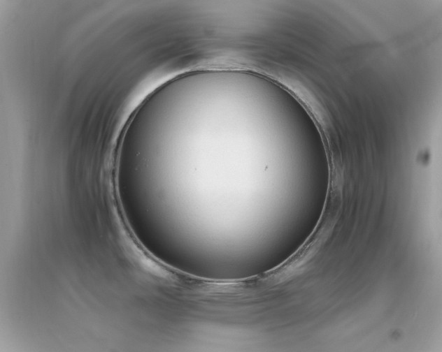 X0000095121486200712071229