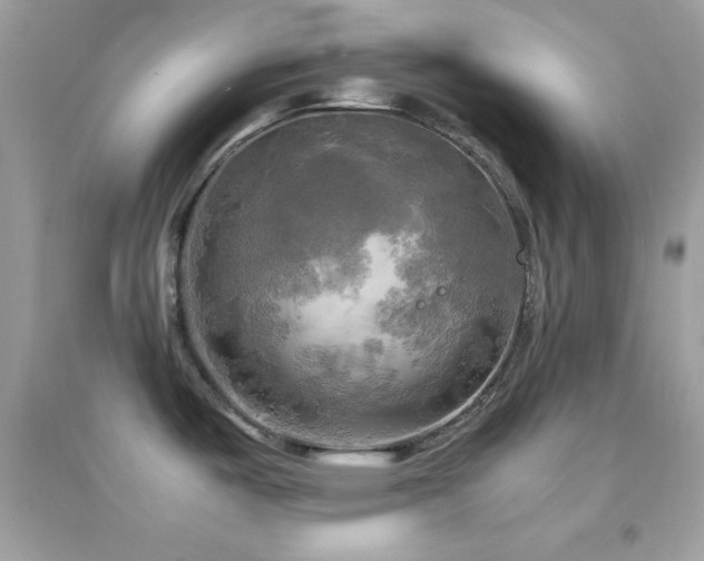 X0000095121487200712071229