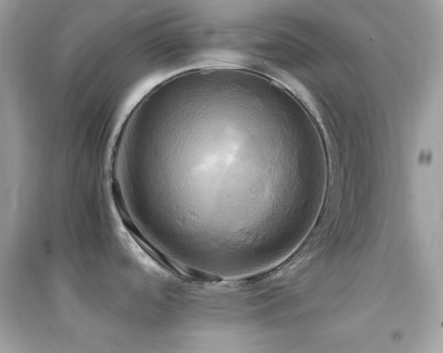X0000095121488200712071229