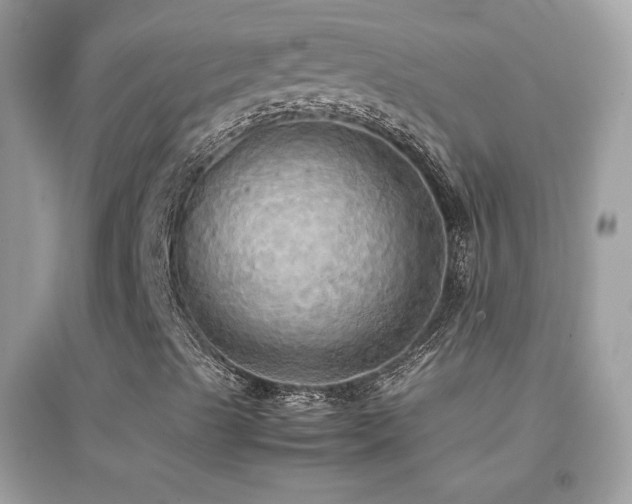 X0000095121489200712071228
