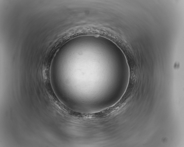 X0000095121490200712071228