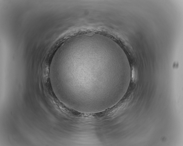 X0000095121492200712071228