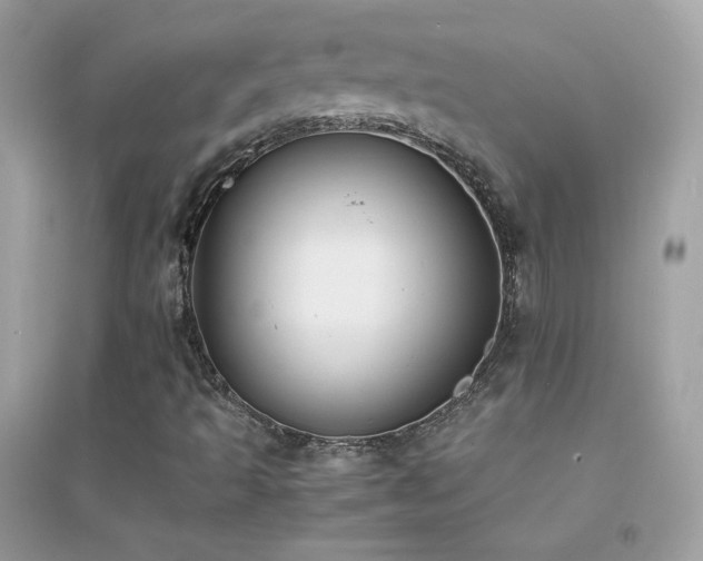 X0000095121493200712071228