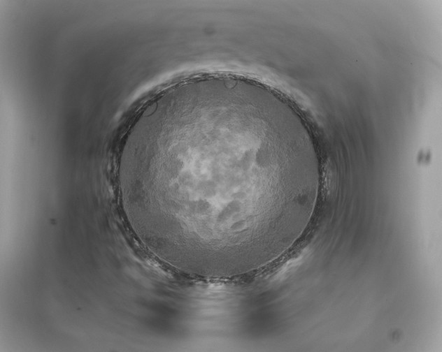 X0000095121494200712071228