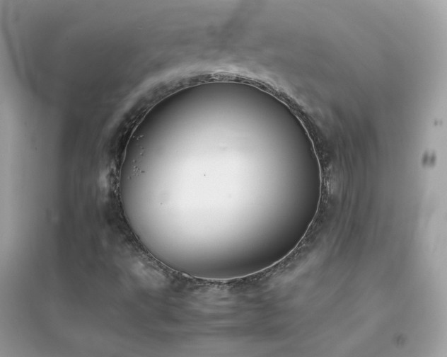 X0000095121495200712071228
