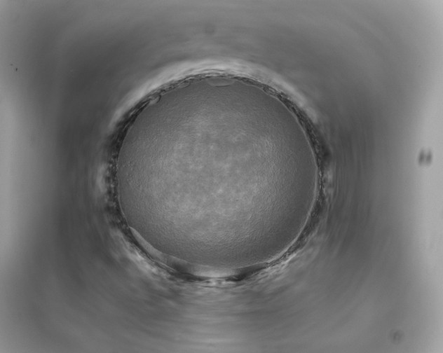X0000095121496200712071228