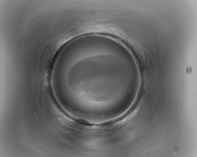 X0000095121497200712071228