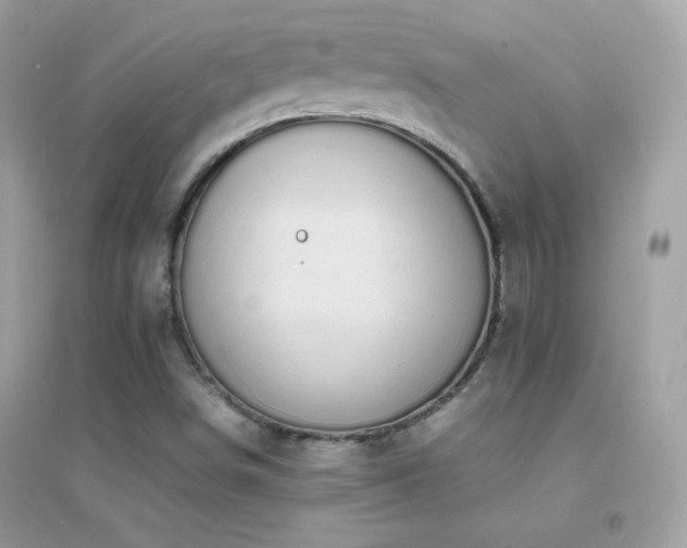 X0000095121498200712071228