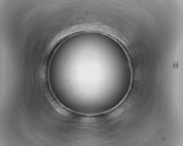 X0000095121499200712071228
