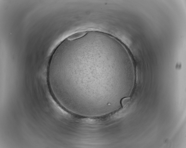 X0000095121500200712071228