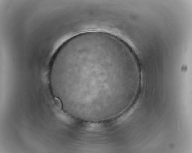 X0000095121501200712071228