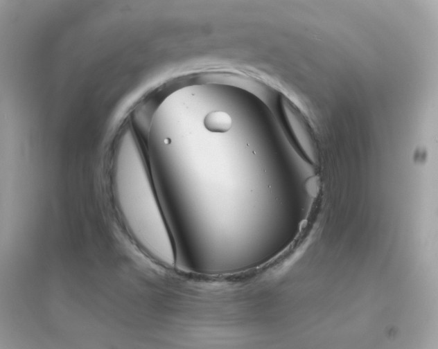 X0000095121502200712071228