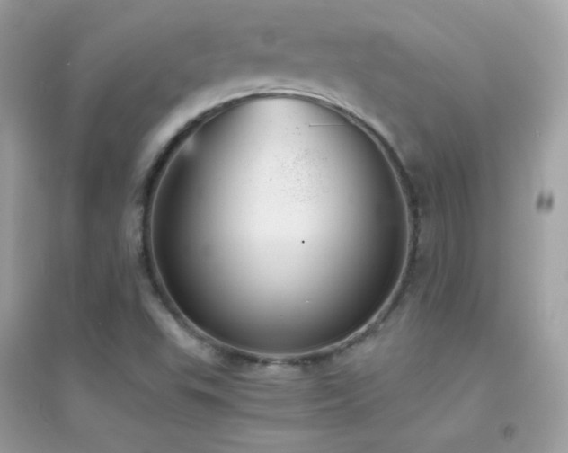 X0000095121503200712071228