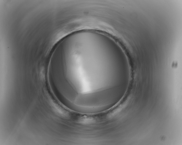 X0000095121505200712071228