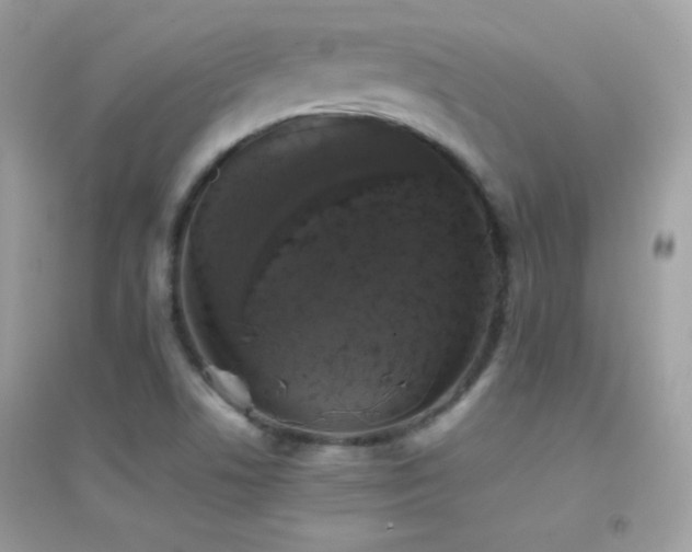 X0000095121506200712071228