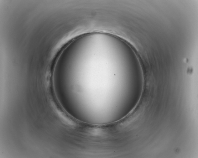X0000095121507200712071228