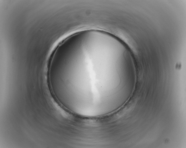 X0000095121508200712071228