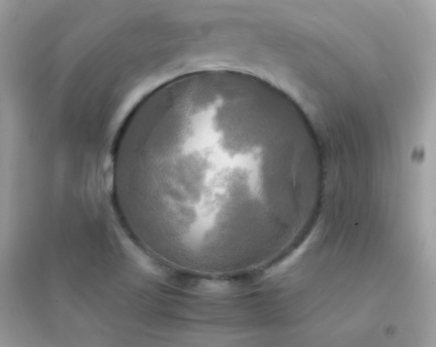 X0000095121509200712071228
