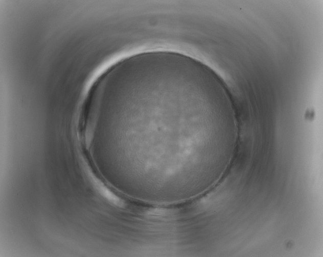 X0000095121510200712071228