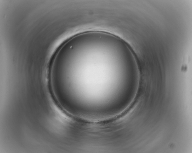 X0000095121511200712071228