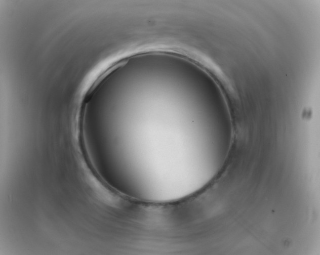 X0000095121512200712071228