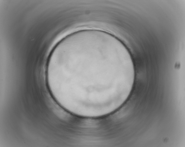 X0000095121514200712071228