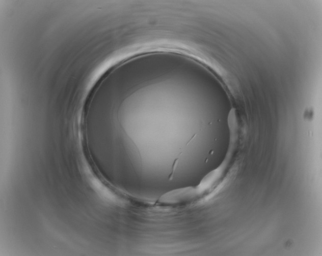 X0000095121515200712071228