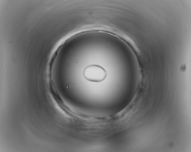 X0000095121516200712071228