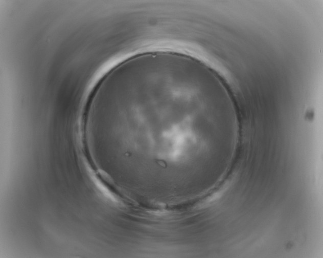 X0000095121517200712071228