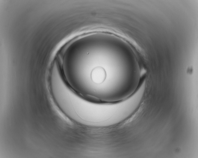 X0000095121518200712071228