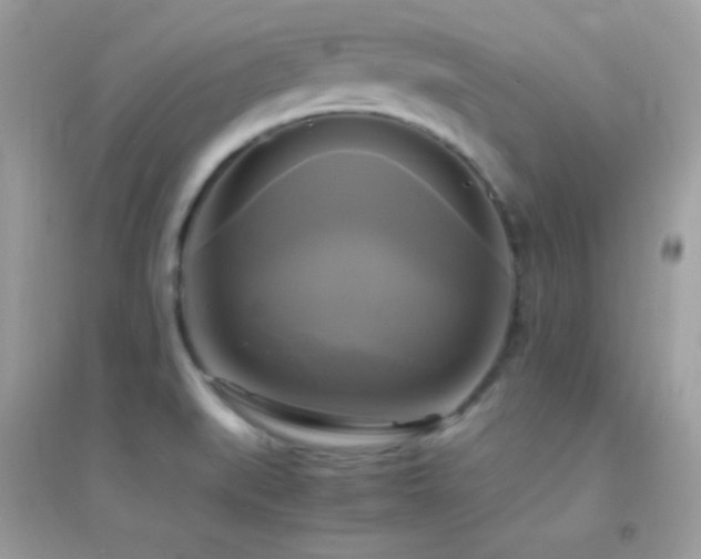 X0000095121519200712071228