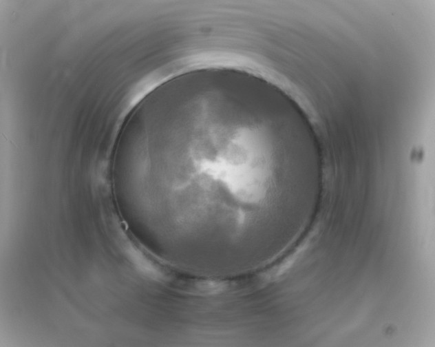 X0000095121521200712071229