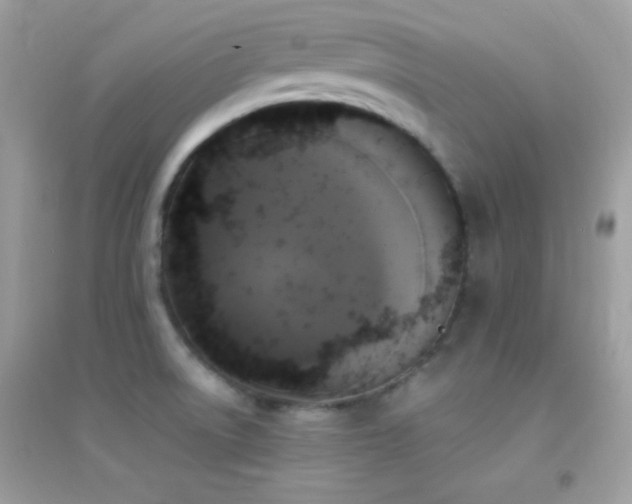 X0000095121522200712071229