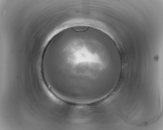 X0000095121523200712071229