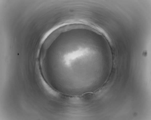 X0000095121524200712071229