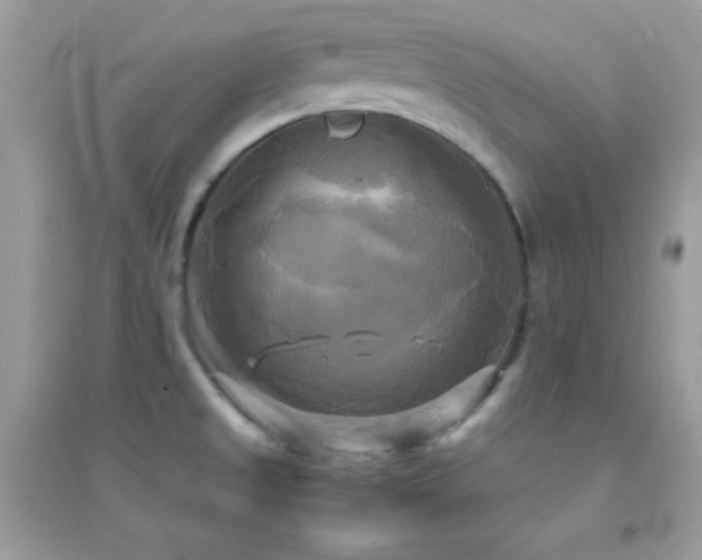 X0000095121525200712071229