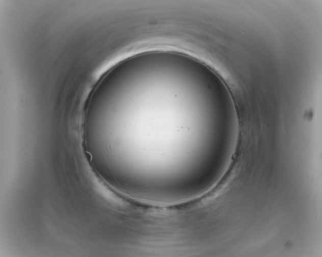 X0000095121526200712071229