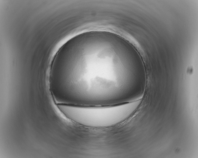 X0000095121528200712071229